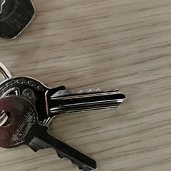 Schlüssel, gemeldet von Regio Antwerpen - Brussel über iLost