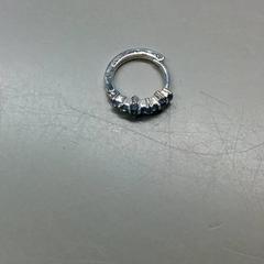 Oorbel Zilver Blauw، كما تم الإبلاغ عنه بواسطة Burgers' Zoo عبر iLost