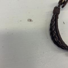 Armband, gemeldet von GVB über iLost