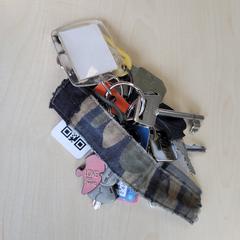 Sleutelbos, amint azt Connexxion Haarlem IJmond az iLost segítségével jelentette.