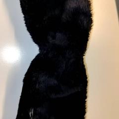 Haarband, zoals gemeld door Ziekenhuis Oost-Limburg met iLost