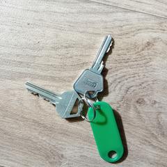 2 sleutels aan groen labeltje, segons s'ha informat a iLost