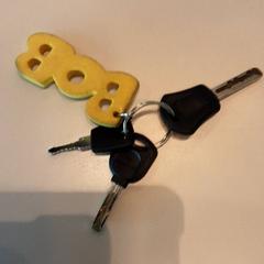 Klíče, jak nahlášeno LUMC pomocí iLost