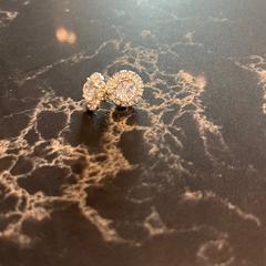 Náušnica zilver, ako bolo nahlásené Van der Valk Hotel Veenendaal pomocou iLost