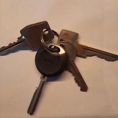 Sleutelbos a été signalé sur iLost