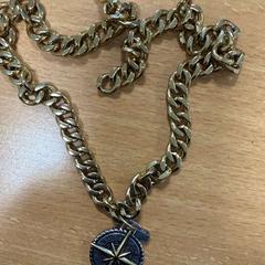 Halsband sterembleem, rapporterat av VITAZ campus Sint-Niklaas med iLost