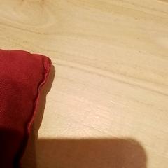 Pittenzak, ako bolo nahlásené Beekse Bergen Resorts en Hotel pomocou iLost