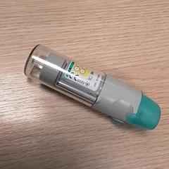 Pufje, segundo informou Qbuzz Fryslân usando iLost