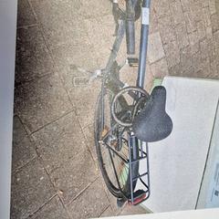Férfi kerékpár, amint azt Gemeente Roermond az iLost segítségével jelentette.