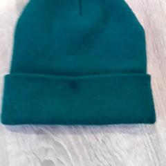 Muts Groen, zoals gemeld door EBS Tramplein met iLost