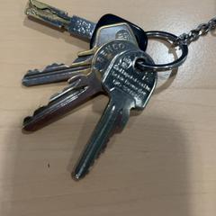 Keychain, as reported by Jaarbeurs using iLost