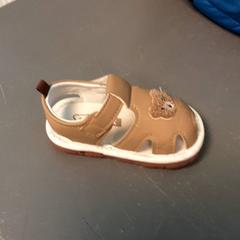 Schoen, zoals gemeld door Diergaarde Blijdorp met iLost