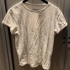 Tshirt, as reported by Van der Valk Hotel Apeldoorn - De Cantharel using iLost