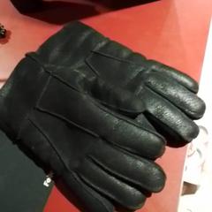 Gloves Zwart, as reported by Apenheul using iLost