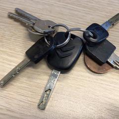 Llavero 6 sleutels, ha sido reportado por Gemeente Arnhem con iLost