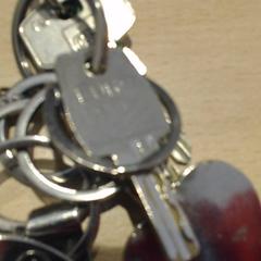 Nøkkelring, som rapportert av Walibi Holland ved bruk av iLost