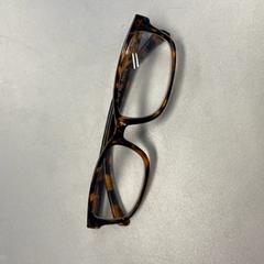 Bril  Bruin, rapporterat av Gebo Tours med iLost