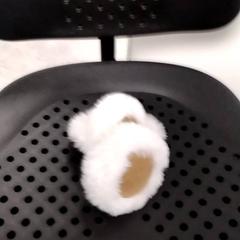 Fülvédők, amint azt Arriva Infoshop Enschede az iLost segítségével jelentette.