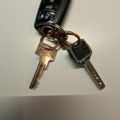 Car key, as reported by Gemeente Hilversum using iLost