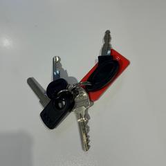 Llaves, ha sido reportado por Gemeente Duiven con iLost