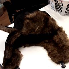 Gorro, segons ha informat Qbuzz ZHN mitjançant iLost