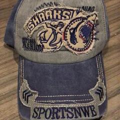 캡, iLost를 사용하여 Van der Valk Hotel Zwolle에 보고됨