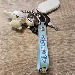 Chiavi, come riportato da EBS Spijkenisse utilizzando iLost