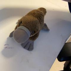 Joguina Knuffel molletje, segons ha informat Artis mitjançant iLost