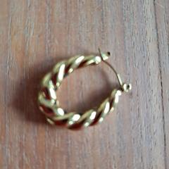 Gouden oorbel, segundo informou a iLost