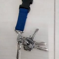 İLost kullanarak Arriva Limburg Zuid tarafından bildirildiği gibi Anahtarlık