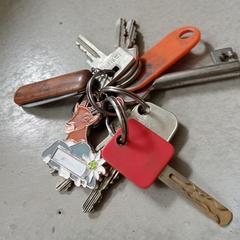 Sleutelbos, jak bylo nahlášeno na iLost