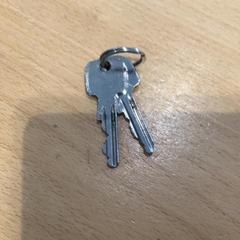 Kľúče Zilver, ako bolo nahlásené Gemeente Gooise Meren pomocou iLost