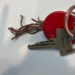 Nyckel met tag en sleutelhanger, rapporterat av Gemeente Wijdemeren med iLost