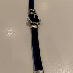 Náramek Blauw, jak nahlášeno Padualaan 97 pomocí iLost