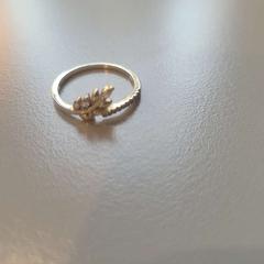 Anell, segons ha informat Padualaan 101 mitjançant iLost