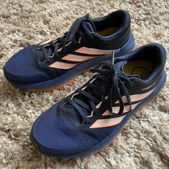 Hardloopschoenen, iLost에 보고됨