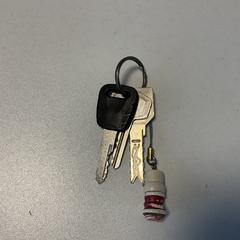 Kľúčenka, ako bolo nahlásené Breng Arnhem pomocou iLost