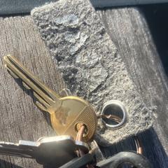 sleutelbos, come riportato a iLost