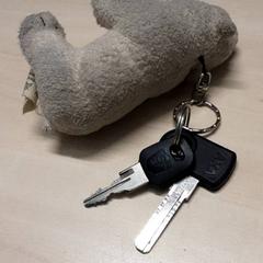 Sleutels, gemeldet von Arriva Oost-Brabant über iLost