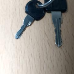 Clés, a été signalé par Centraal magazijn utilisant iLost