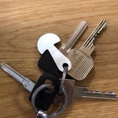 Sleutels Paddenstoeltje als sleutelhanger, zoals gemeld door Gemeente Alkmaar met iLost