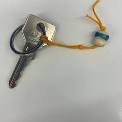 المفاتيح (متنوعة)، كما تم الإبلاغ عنه بواسطة HvA Amstelcampus عبر iLost