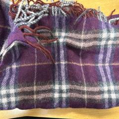 Sjal paars, rapporterat av VITAZ campus Sint-Niklaas med iLost