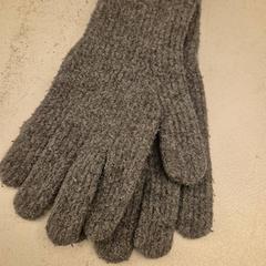 Handschoen Grijs, amint azt Mauritshuis Den Haag az iLost segítségével jelentette.