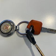 Nyckelring, rapporterat av Gemeente Meierijstad med iLost