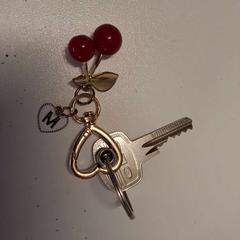 Chiave met letter 'M', come riportato da Regio West-Vlaanderen utilizzando iLost