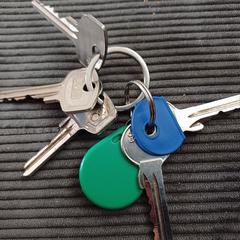 Sleutelbos, como reportado ao iLost