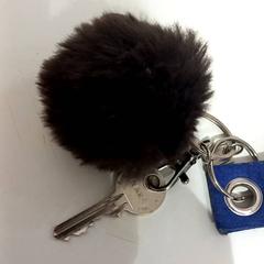 Klíče, jak nahlášeno allGo Almere pomocí iLost