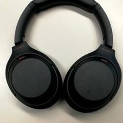 Kopfhörer draadloos, gemeldet von Burgers' Zoo über iLost