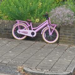 Roze kinderfiets an iLost gemeldet
